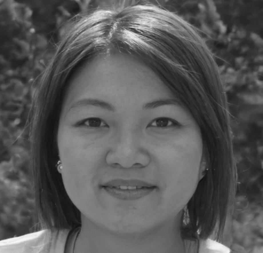 Energy systems analyst reviewing data